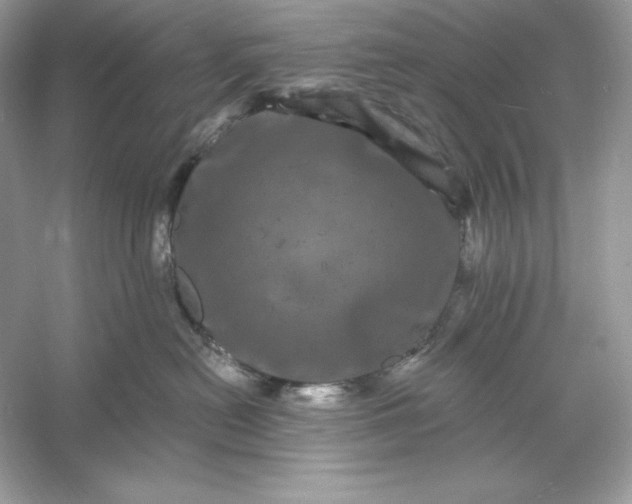 X0000053140478200507251820