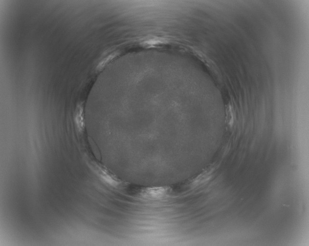 X0000053140479200507251820