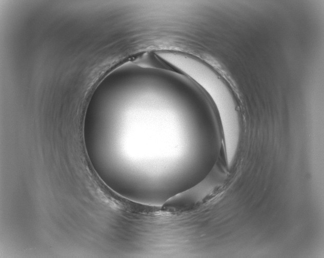 X0000053140481200507251819