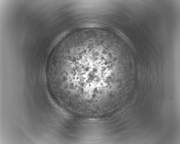 X0000053140482200507251819