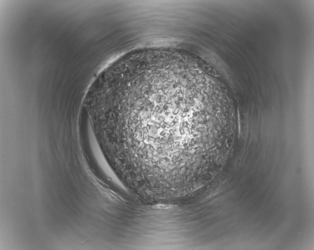 X0000053140483200507251819