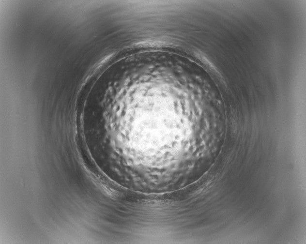 X0000053140486200507251819