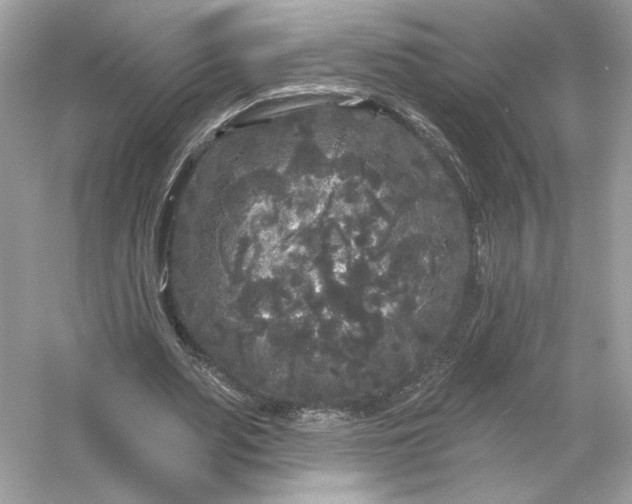 X0000053140487200507251819