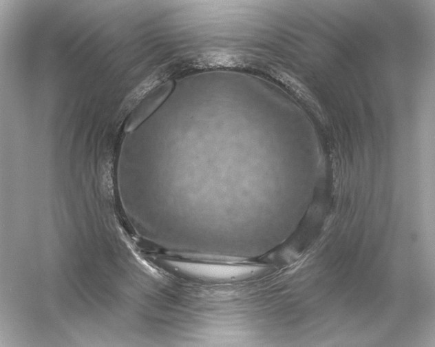 X0000053140489200507251819