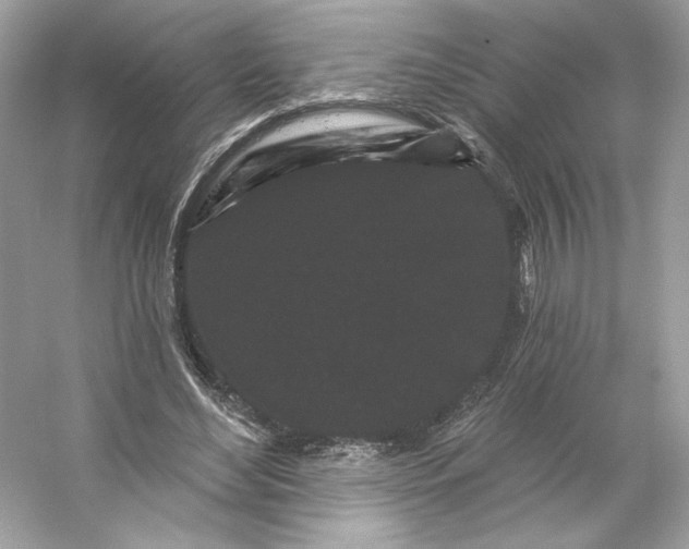 X0000053140492200507251819
