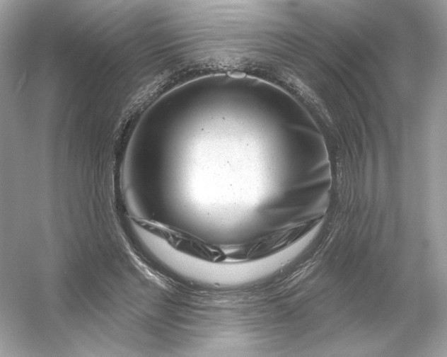 X0000053140493200507251819