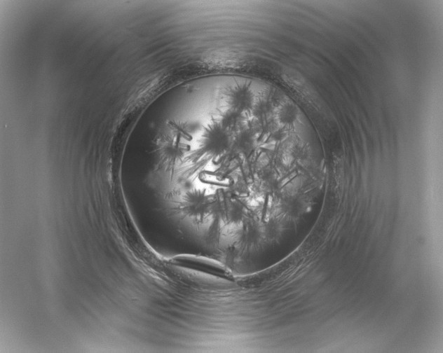 X0000053140494200507251819