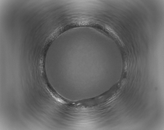 X0000053140497200507251819