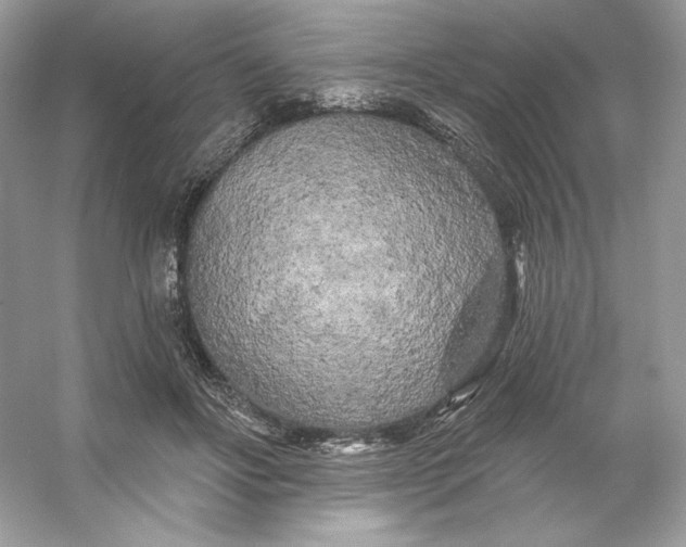 X0000053140502200507251819
