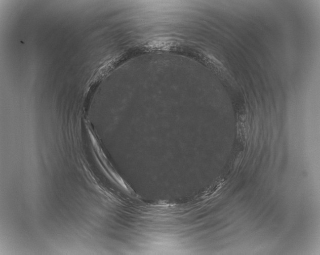 X0000053140504200507251819