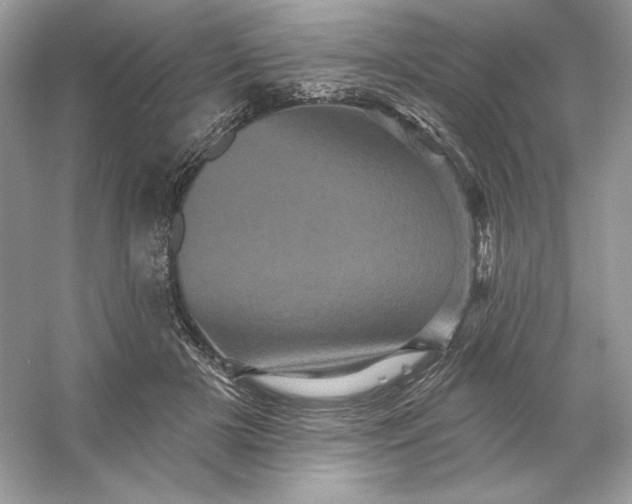 X0000053140505200507251819