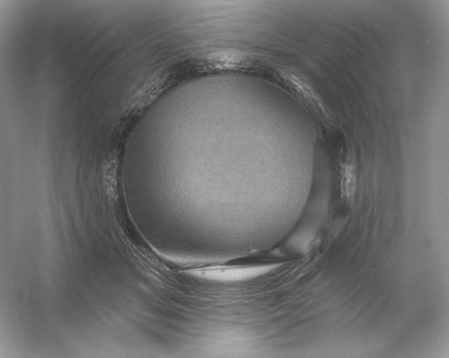 X0000053140509200507251819
