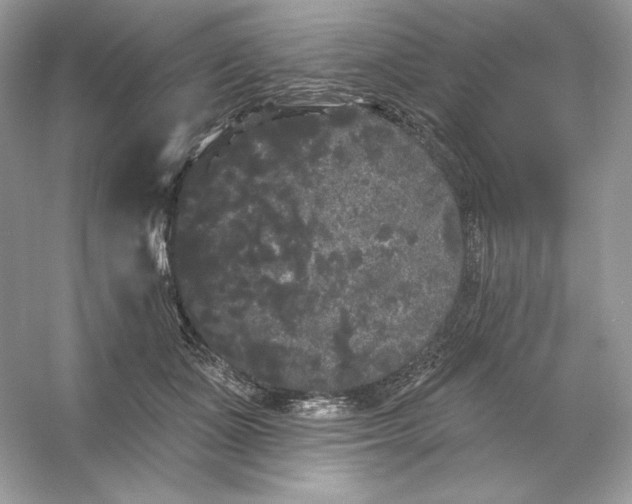 X0000053140511200507251819