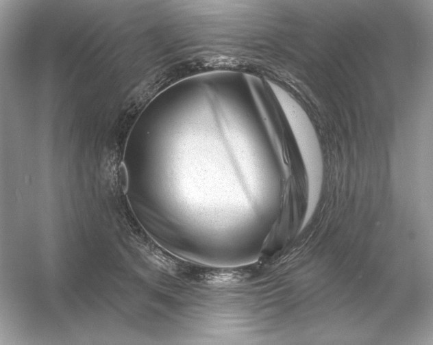 X0000053140513200507251819