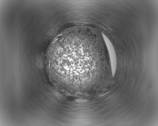 X0000053140515200507251819