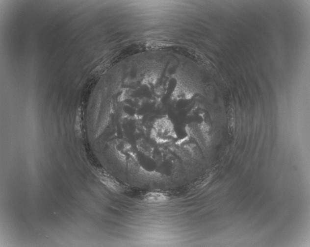 X0000053140519200507251819