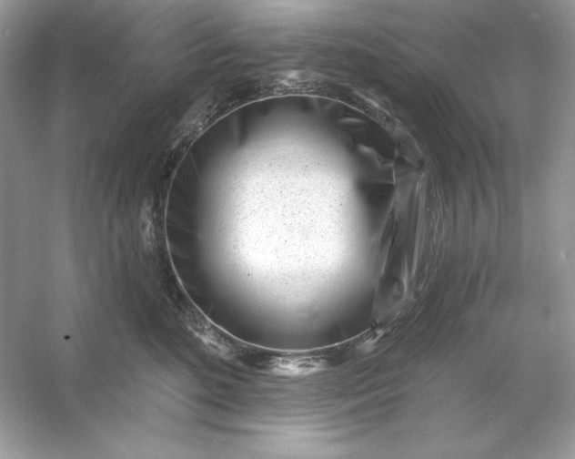 X0000053140520200507251819