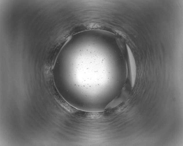 X0000053140521200507251819