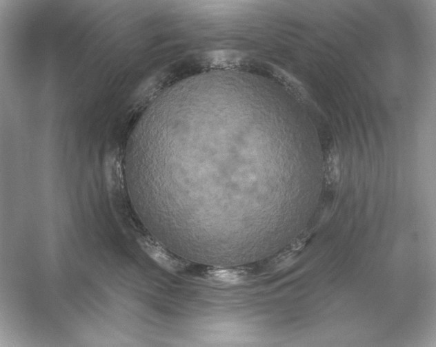 X0000053140522200507251819
