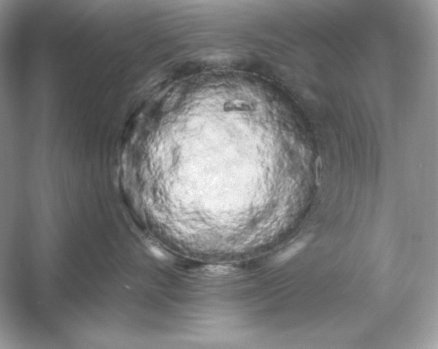 X0000053140528200507251819