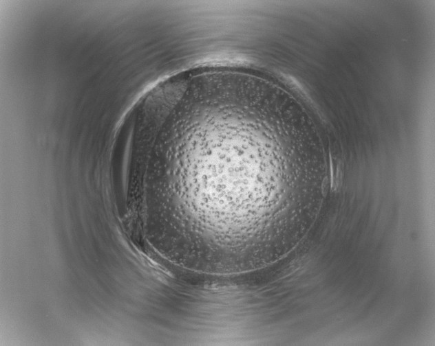 X0000053140531200507251818