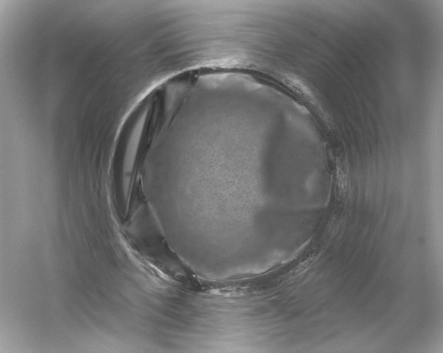 X0000053140532200507251818