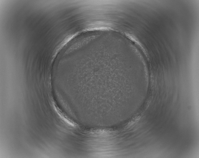 X0000053140533200507251818