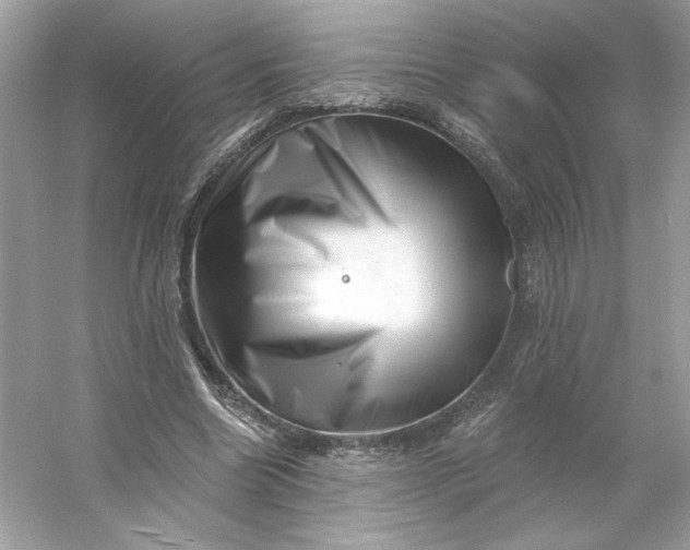 X0000053140538200507251818