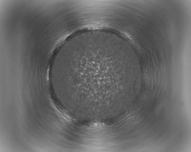 X0000053140543200507251818