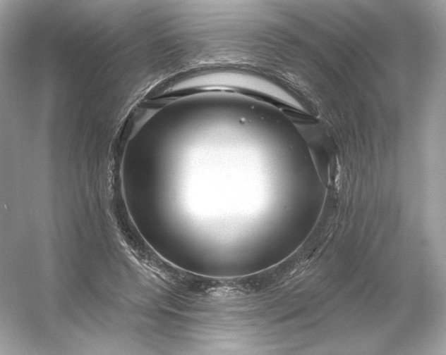 X0000053140544200507251818