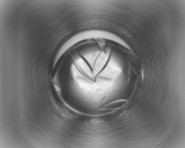 X0000053140546200507251818