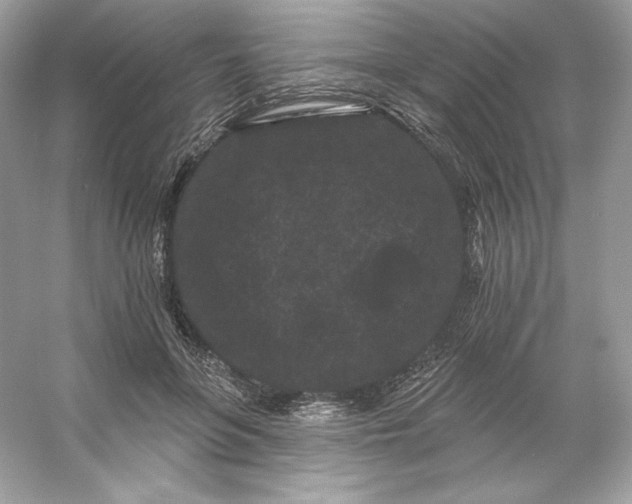 X0000053140551200507251818