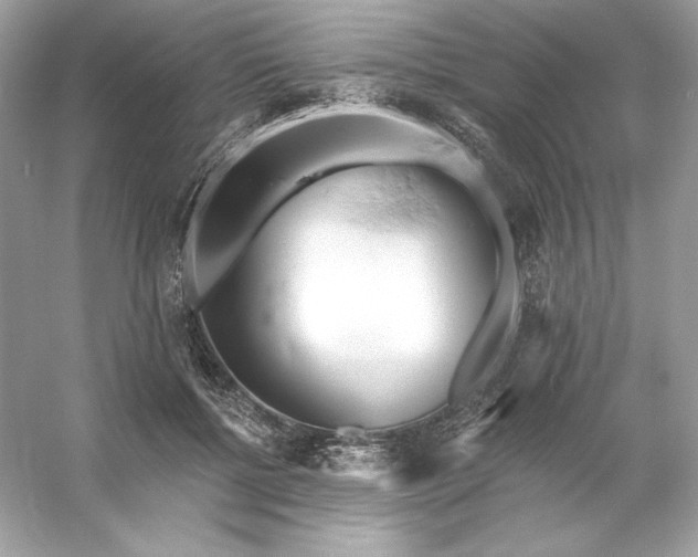 X0000053140552200507251818