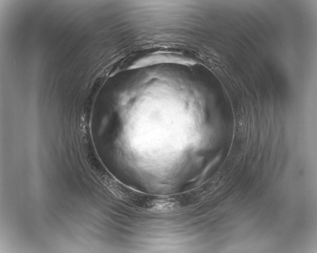 X0000053140555200507251818