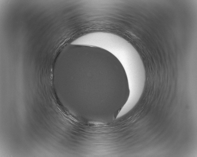 X0000053140556200507251818