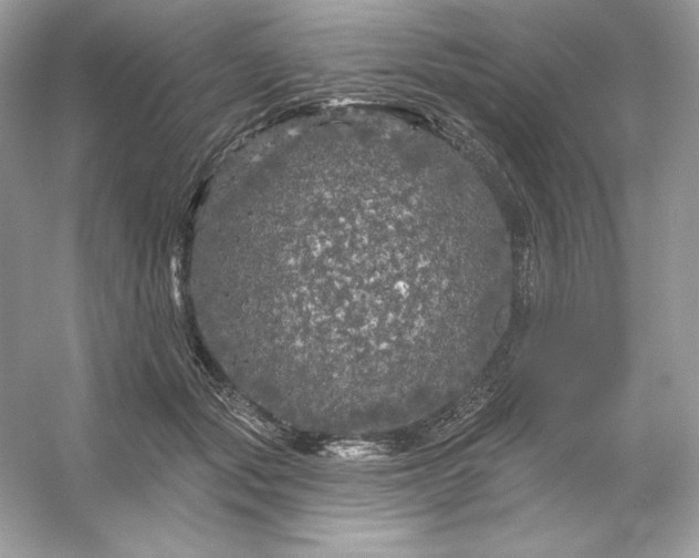 X0000053140557200507251818