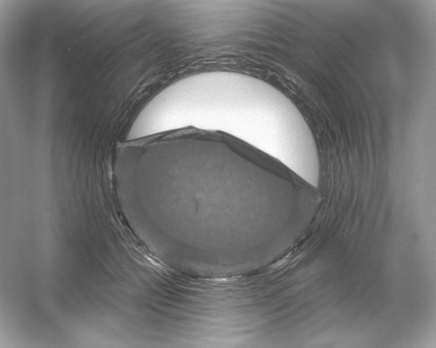 X0000053140558200507251818