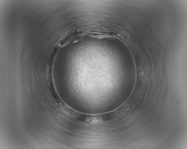 X0000053140559200507251818