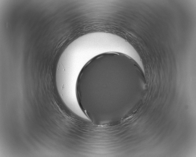 X0000053140560200507251818