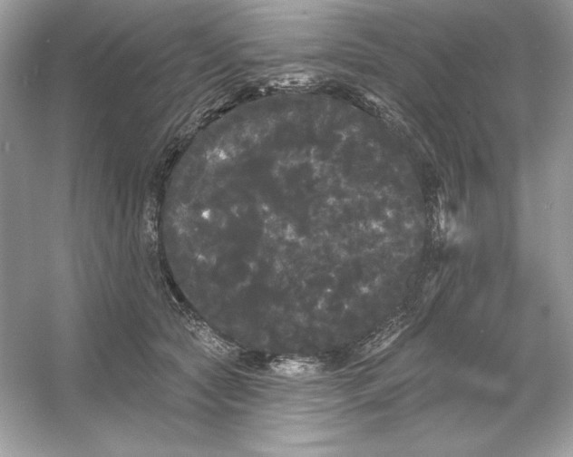 X0000053140561200507251818
