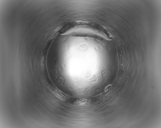 X0000053140563200507251818