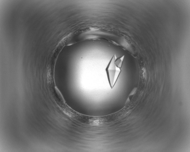 X0000053140564200507251818