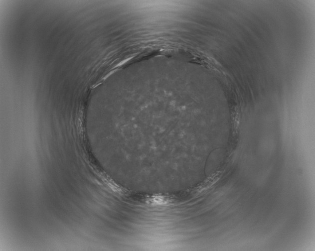 X0000053140565200507251818