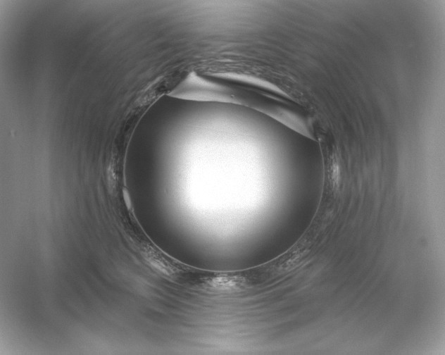 X0000053140566200507251818
