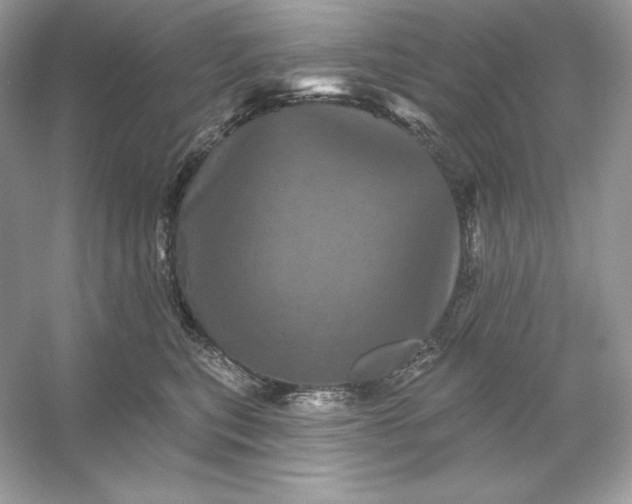X0000053140567200507251818