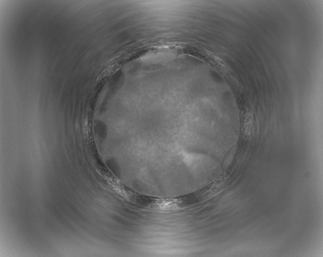 X0000053140569200507251818