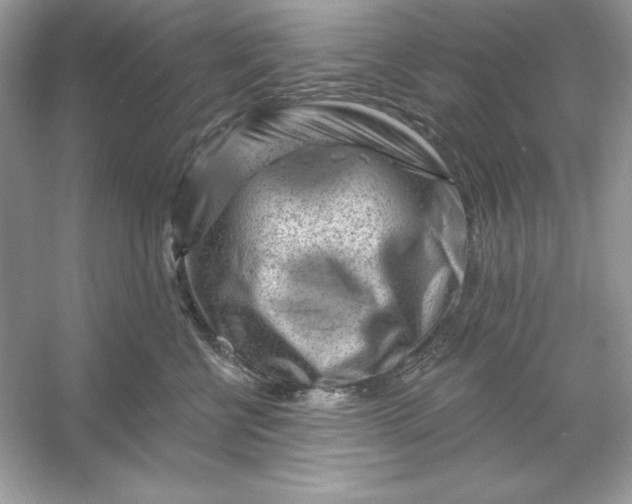 X0000053140570200507251818