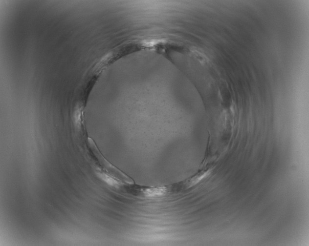 X0000053140574200507251818