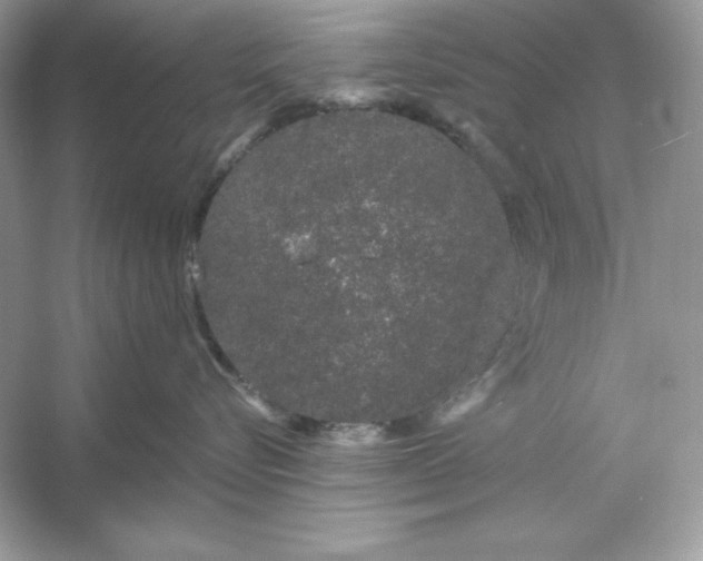 X0000053140576200507251818