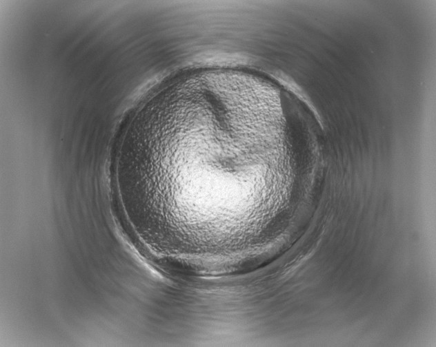 X0000053140581200507251818